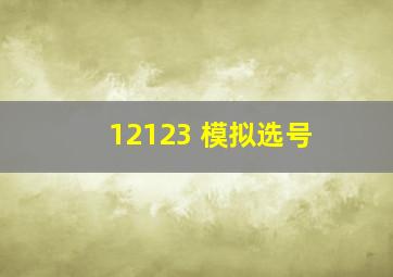 12123 模拟选号